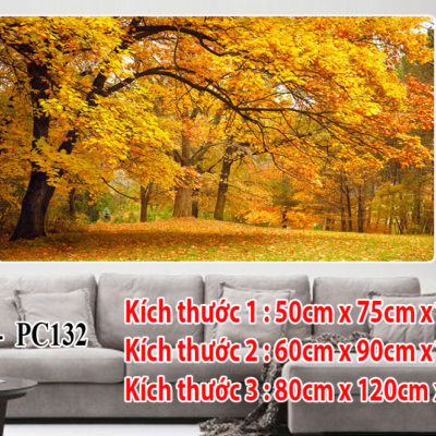 Tranh Bộ Treo Tường BP1 - PC132