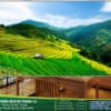 Rèm Cuốn Tranh 3D Cao Cấp NT-0075