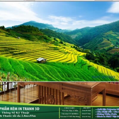 Rèm Cuốn Tranh 3D Cao Cấp NT-0075
