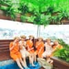 Thảm Cỏ Nhân Tạo Cao Cấp NT-0180