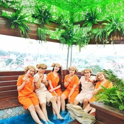 Thảm Cỏ Nhân Tạo Cao Cấp NT-0180