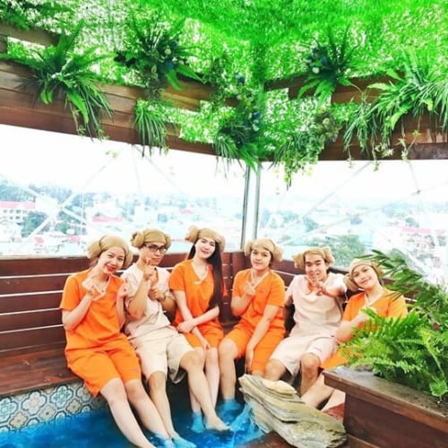 Thảm Cỏ Nhân Tạo Cao Cấp NT-0180